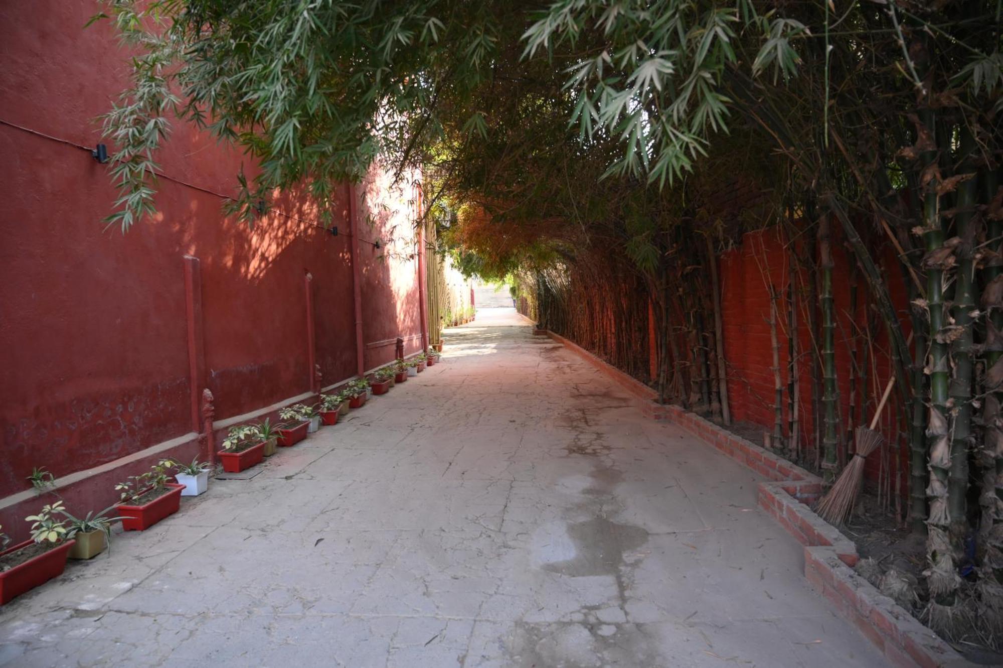 Nurpur Raja Ka Bagh - A Boutique Hotel מראה חיצוני תמונה